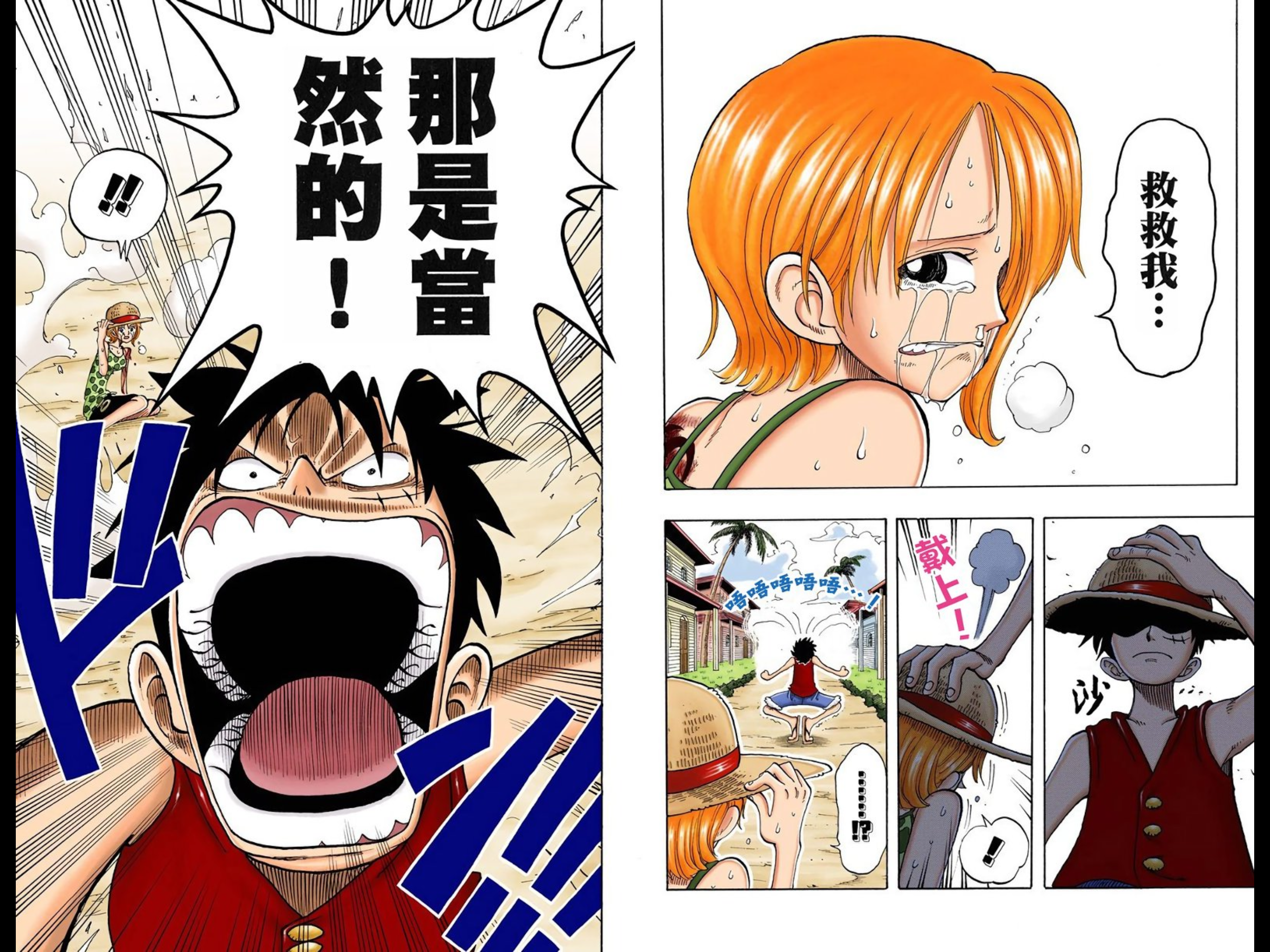 Luffy saves Nami / 路飞救娜美