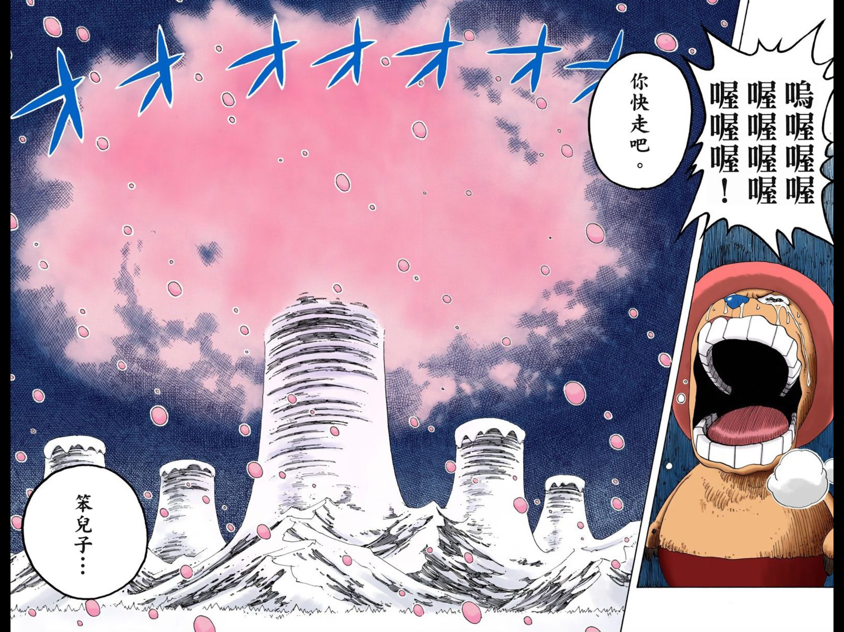 Cherry blossoms in snow country / 雪国樱花的浪漫