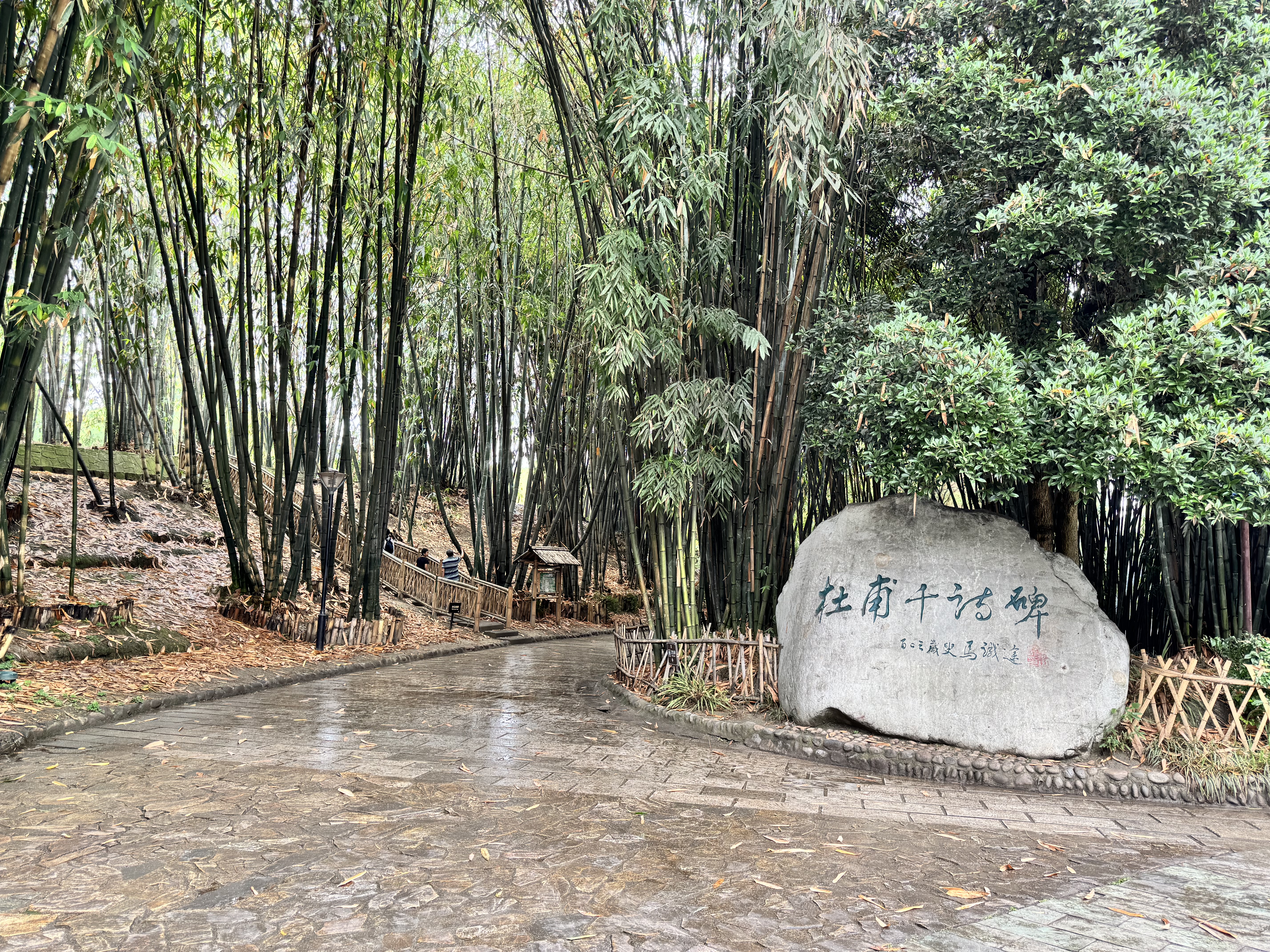  scene from Huanhuaxi Park (浣花溪公园)