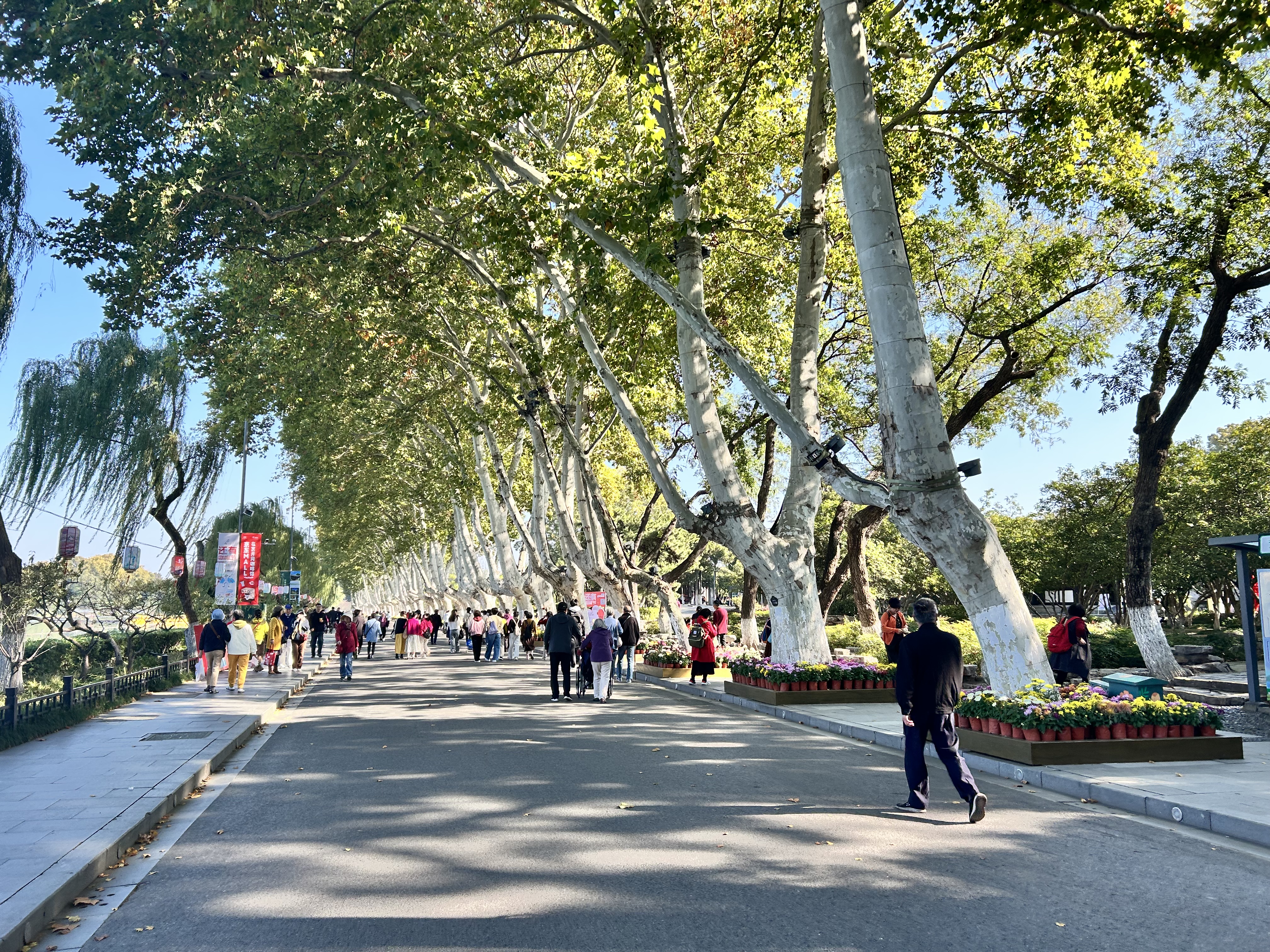 Xuanwu Lake, Nanjing