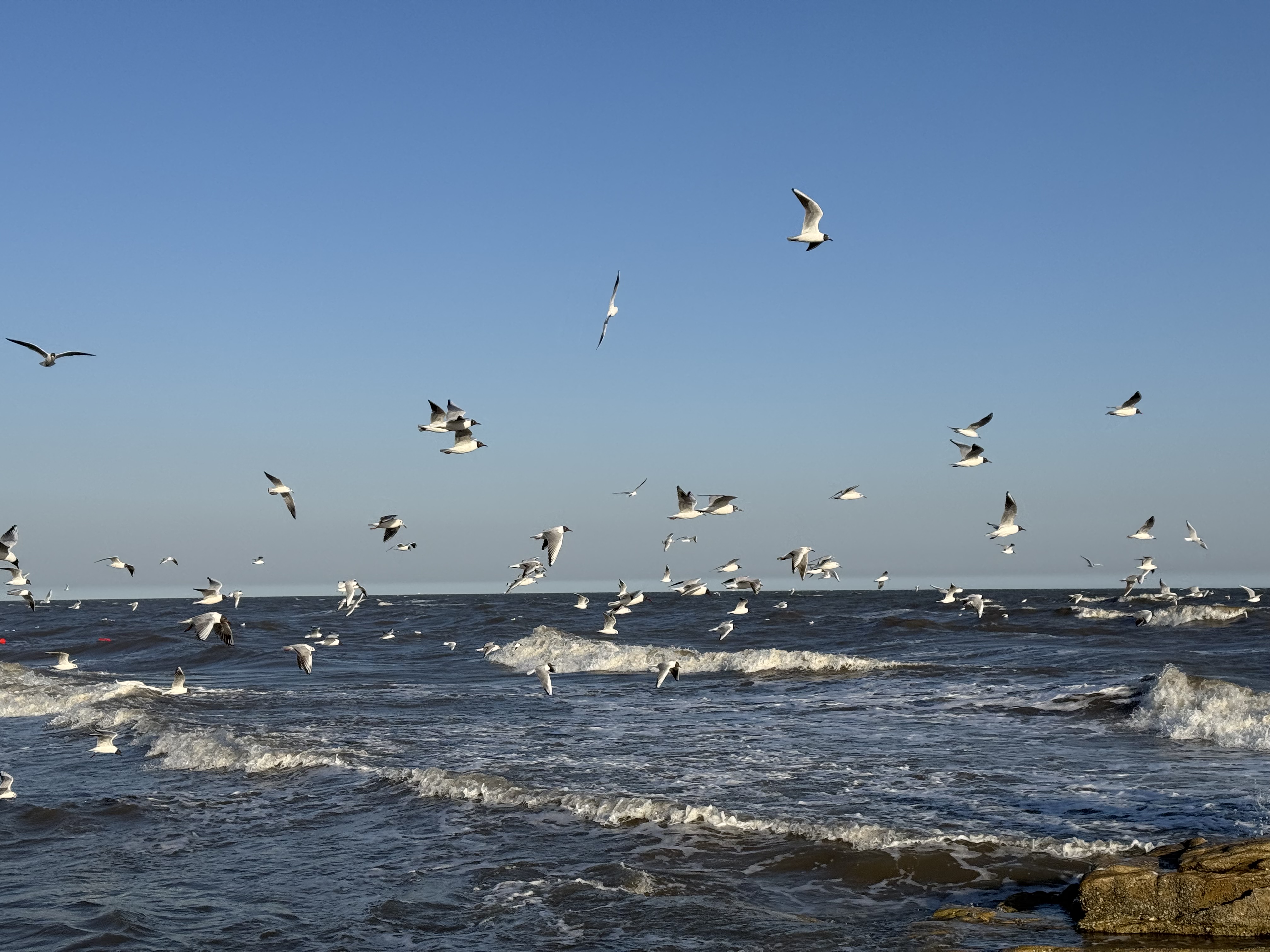 Seaside, Qinhuangdao