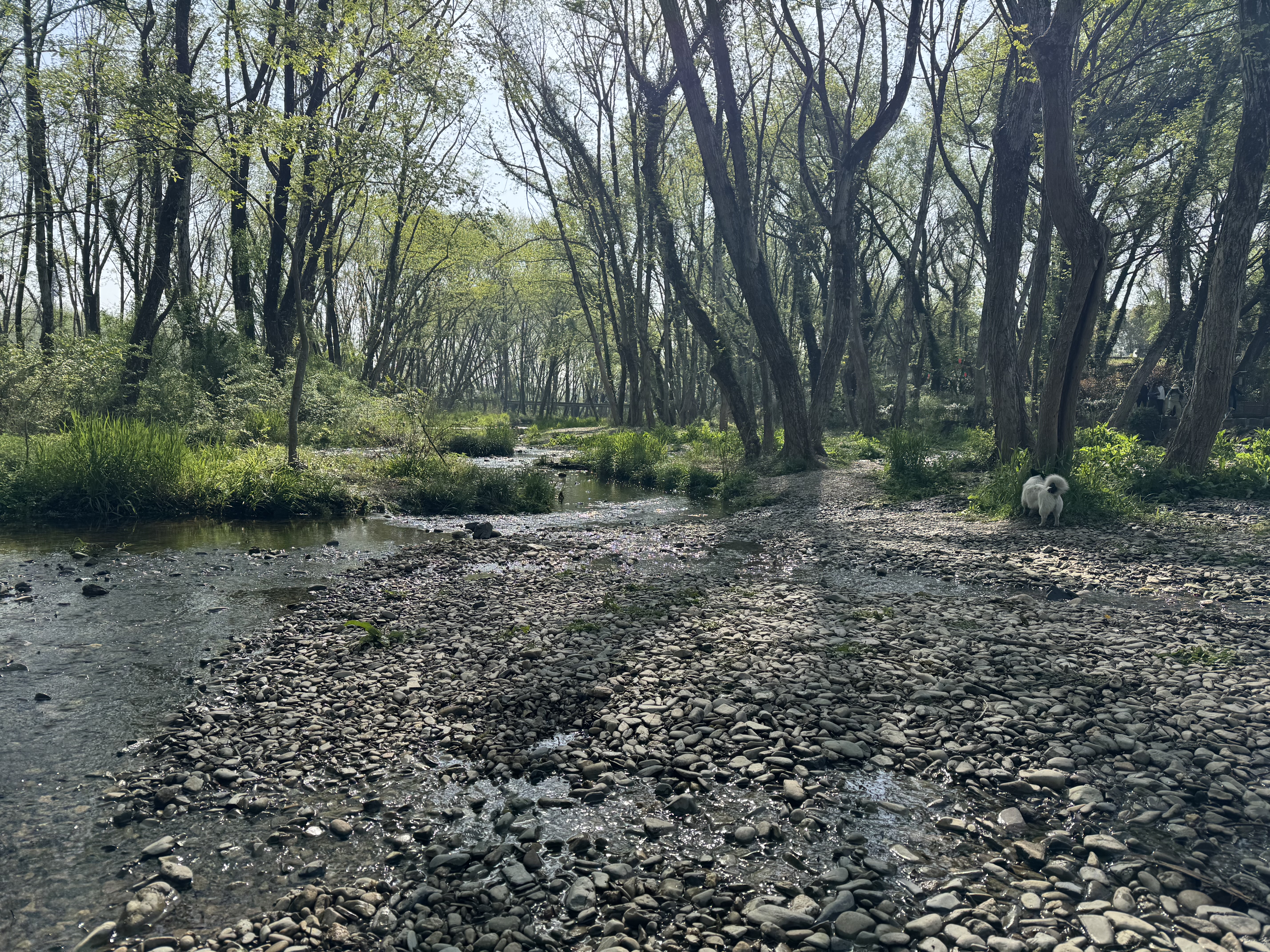 Xixinan Ancient Village, Huangshan